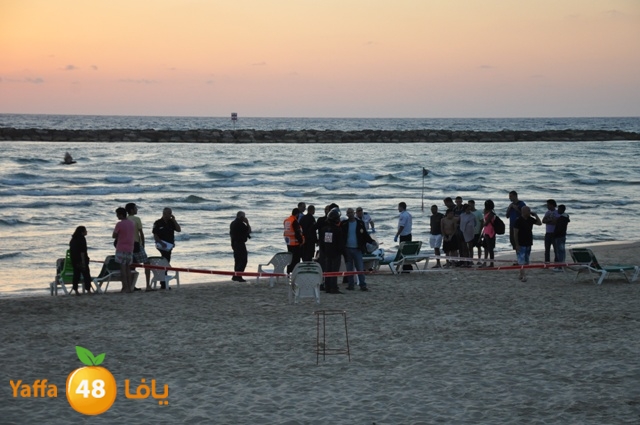 3areegnew51204551 (3).JPG